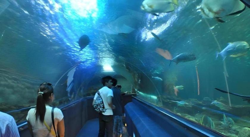 Vinpearl Discovery Rockside Nha Trang Exteriör bild