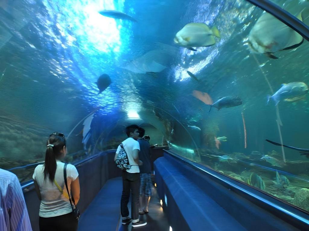 Vinpearl Discovery Rockside Nha Trang Exteriör bild